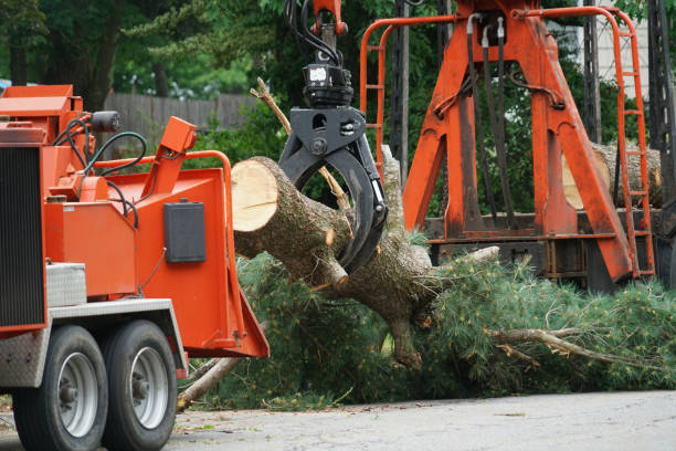 Seasonal Cleanup (Spring/Fall) in Fort Stewart, GA